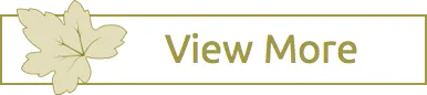 View-More